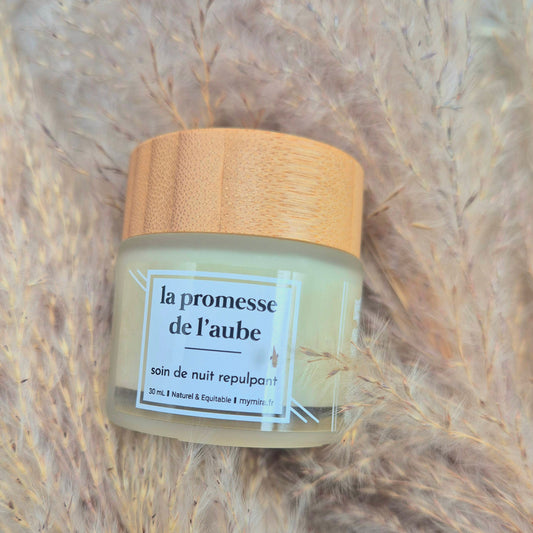 Baume de nuit repulpant